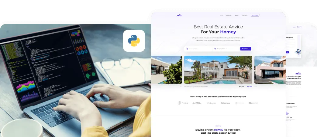 python development company